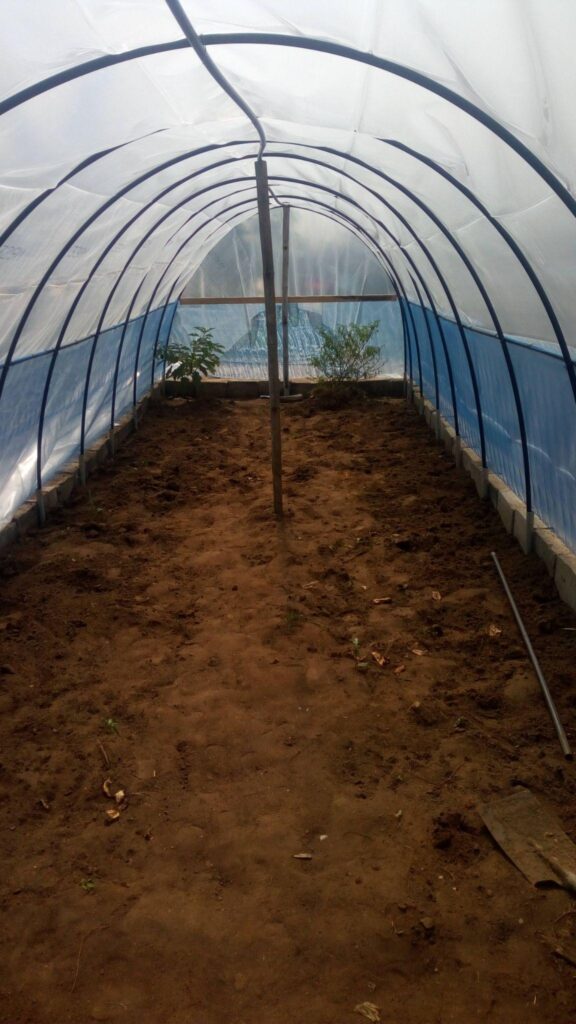 Sol agricole fertile et cultures — MAGIC ECO GROUP