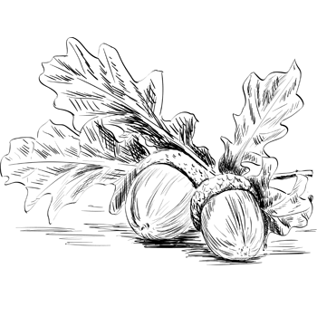 MAGIC%20ECO%20GROUP