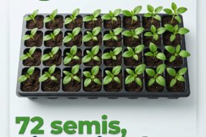 Solution pour la fertilité des sols