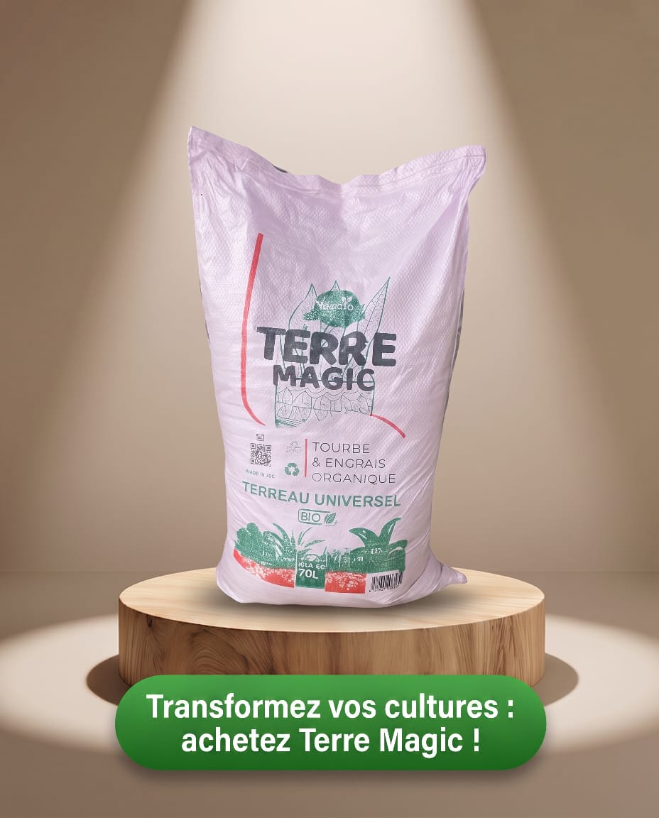 MAGIC ECO GROUP